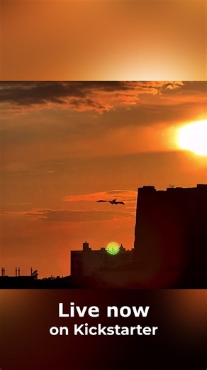 Control your own bird! The Swift delivers real natural flight — no propellers, just pure flapping lift. Join the movement now on Kickstarter & be part of something revolutionary! | Bionic Bird