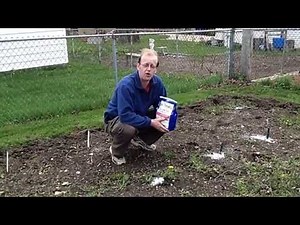 Benefits of Using Epsom Salt in the Garden -The Wisconsin Vegetable Gardener Straight To The Point
