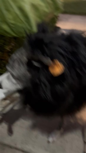 Cindy Allen on Reels | Facebook