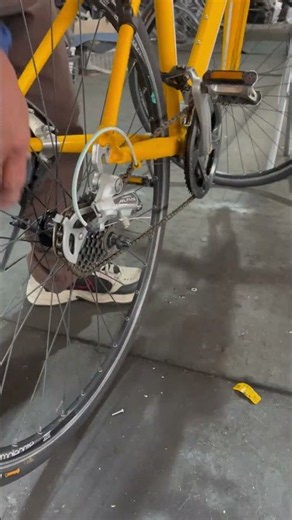 Mounting the Rear Wheel of Bianchi Camaleonte Sport 1 After Inner Tube Inspection