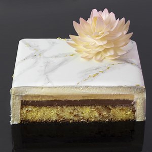 981 reactions · 258 shares | Bake your way through 400 online classes from the world’s best chefs, with a new video every week | Savour Chocolate and Patisserie School | Facebook