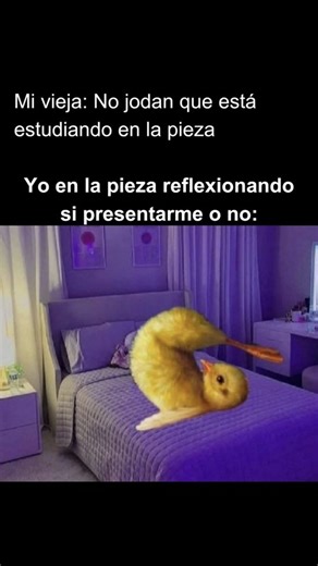 Memes para estudiantes🤪 | 🫠 #estudiantes #estudio #meme #memesespañol #reel | Instagram