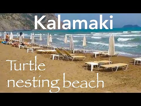 Kalamaki turtle nesting beach Zante zakynthos Greece