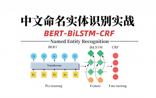 BERT模型实战教程：基于BERT模型的文本分类、情感分析及中文命名实体识别实战教程，迪哥带你玩转NLP核心框架—BERT模型！（AI人工智能/深度学习）