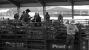 Team Roping Fans 👉 Experience Roping like never before with a Match Roping streaming on the big screen to your living room. Featuring some of the great ropers of our time. Watch Kaleb Driggers and Clint Summers take on Coleman Proctor and Wesley Thorp. 🔥 Watch this match on us with a free 3 day pass PLUS access exclusive interviews, livestreams, and The Vault of over 2,500 other ropings videos. X Factor Roping is The #1 Team Roping App in the world. 👉 Sign Up Now https://xfactorteamroping.com