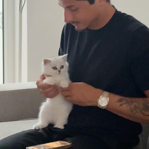 Samuel S on Instagram: "🔥 Learn The Most Innovative Dropshipping Strategy Of 2024 - Completely For FREE! Funnel Dropshipping is an opportunity nobody’s seeing right now. I’ve created an in-depth course that I am now giving away completely for free on how you can take advantage of this opportunity and start building your Dropshipping empire in 2024. 🎯Unlike other people charging you thousands of euros for this information - I am giving it to you for FREE. You really have no excuses…"