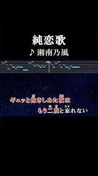 目を閉じれば億千の星一番光るお前がいる #カラオケ #歌詞 #純恋歌 #湘南乃風 #onvocal #本人ボーカル #2006