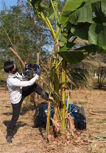 Discover the Benefits of Remote Control Lawn Mowers