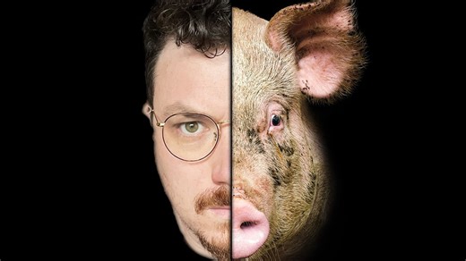 The Shocking Truth Behind Animal Rights History