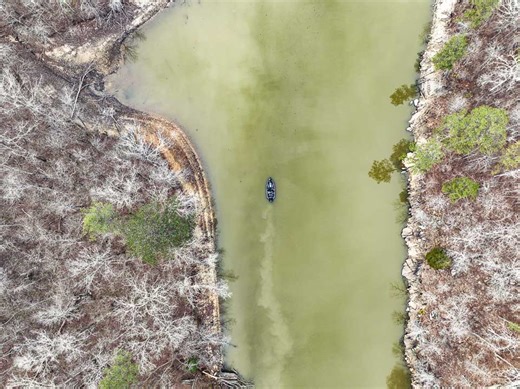 Tournament Blog - Bassmaster
