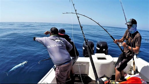 Wahoo Fishing Off the Hook – Close Calls and Sharp Teeth!