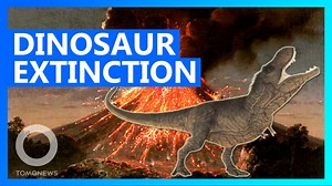 Volcanic climate change may have contributed to dinosaur extinction