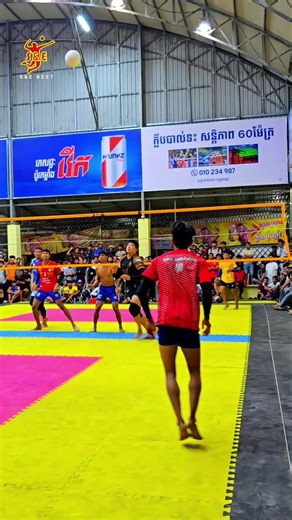 Volleyball Basics: Learn the Fundamentals