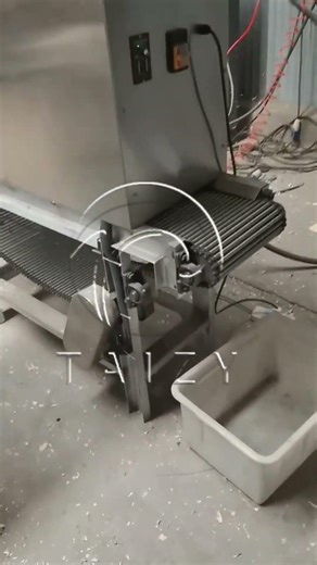 Dry Garlic Peeling Machine | High Efficiency Chain Garlic Peeler