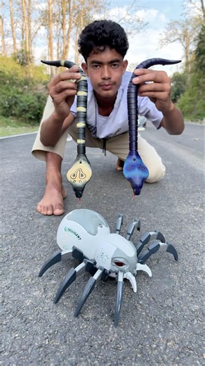 2 Ta Rc Snake And Remote Wala Spider Unboxing Dekho😜