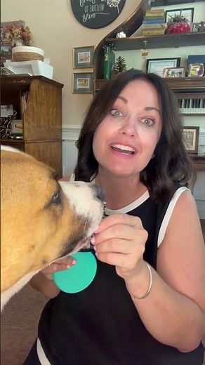 Dog Calming Chews Review 🐶 Hemp Anxiety Relief Treats for Dogs