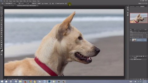 Photoshop Tutorial: How to Create a Drawing from 1 Continuous, Jagged Line