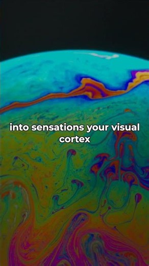 Color Doesn't Exist in Physics — Your Brain Invents It