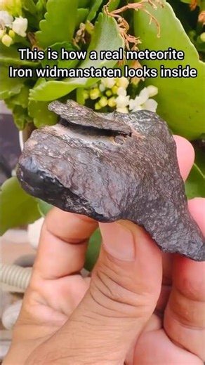 This is how a real meteorite looks inside