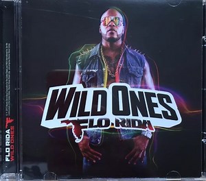 Flo Rida - Wild Ones