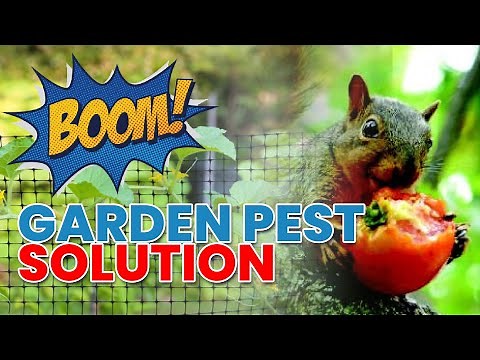 Diy Squirrel-proof Fence: Keep Your Garden Safe!