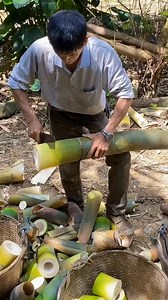 35K views · 241 reactions | Cutting bamboo shoot verry satisfying #bambu #bambukuning #bambumuda #rebung #bamboshoot #bamboocutting #asmr #satisfying #relaxing #cutting #skills | Studio All | Facebook