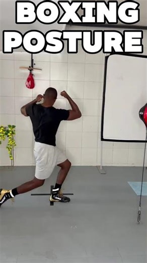 Boxing Posture