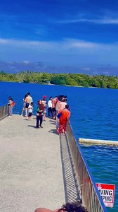 11K views · 47 reactions | Sea Eagle Beach Resort on Reels | Facebook