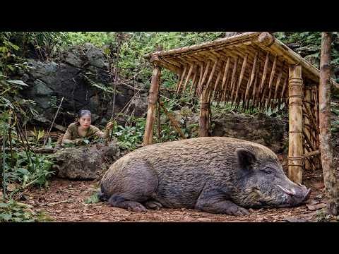 Wild Boar Survival Guide: Detect Traces, Make Primitive Traps, Survive Alone