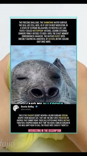 seal breathing sound, why do seals make that noise, seal nostrils closed by default,