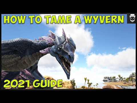 How to tame a wyvern easy ( 2021 Guide )