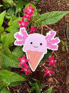 Axolotl Ice Cream Sticker - Etsy Canada