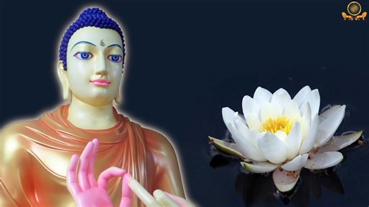 1K views · 32 reactions | This beautiful Dhammapada chanting is done...
