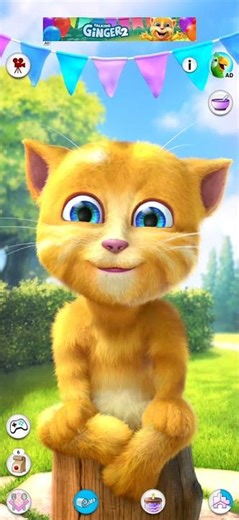 Talking Ginger’s Funny Pranks! 😹 #TalkingGinger #FunnyCats #CuteAnimals