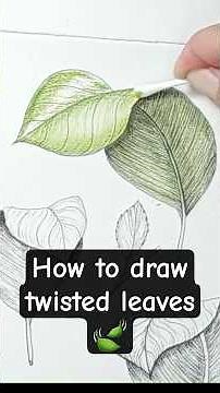 How to draw and color twisted leaves
