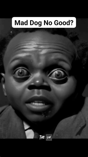 23K views · 385 reactions | The story of Mad Dog No Good? What sitcom had an episode inspired by him? #viral #trending #Crime #hood #reels | Hood Horror | Facebook