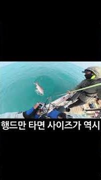 완도 행복드림2호 역시 사이즈! #タイラバ #타이라바 #fishing #선상낚시