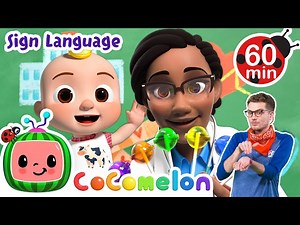 Doctor Check Up Song | Cocomelon Nursery Rhymes | Learn ASL & Baby Sign Language for Kids - Videos For Kids