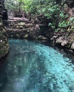 2.5K reactions · 387 shares | Join us in a ride through Xcaret's Paradise river. | Xcaret Park | Facebook