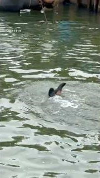പൊങ്ങി നിൽക്കുന്ന കാലുകൾ #keralafishing #shorts