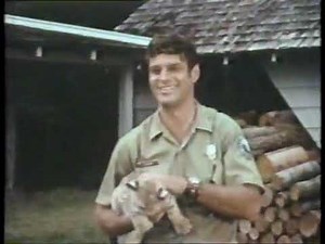 Lefty, the Dingaling Lynx (The Wonderful World of Disney) 1971