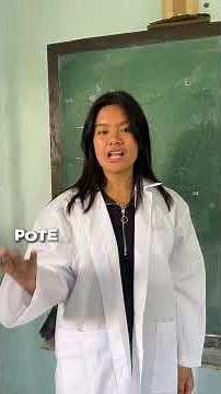 General Physics 1 Mini Catapult