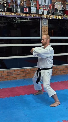 Bunkai do pulo Kata Heian Godan no Karate - Referência ao Sakuraba lutador de MMA