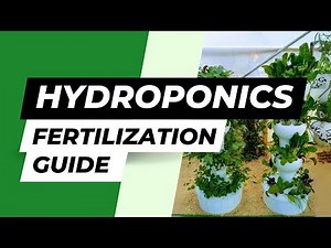 Master EC Balancing in Hydroponics: Achieve Perfect Plant Nutrition