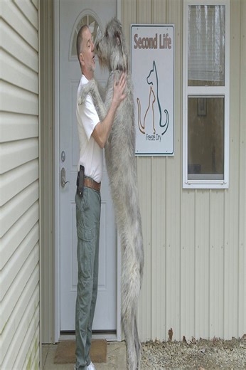 Freeze drying pets to preserve memories