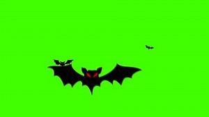 Swarm Flying Bats Animation Stock Footage Video (100% Royalty-free) 14038598 | Shutterstock