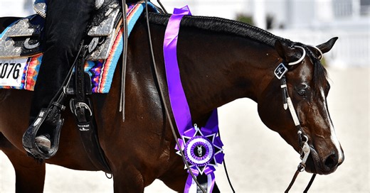 AQHA Level 1 Youth Hunter Hack & NSBA *Jackpot - Orange Blossom Classic - Sudden Impulse - 2024 | Videos, Live Streams, Films and Shows | ClipMyHorse.TV