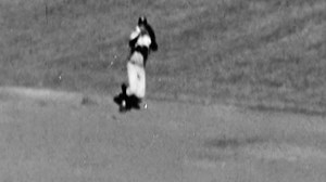 Richardson robs McCovey