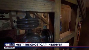 Denver's Molly Brown House haunted by 'Ghost Cat' with 9 after-lives