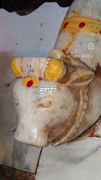 pata nahin kis Roop mein aati Shiv Shankar mil jaaye #music #song #love #love #funny